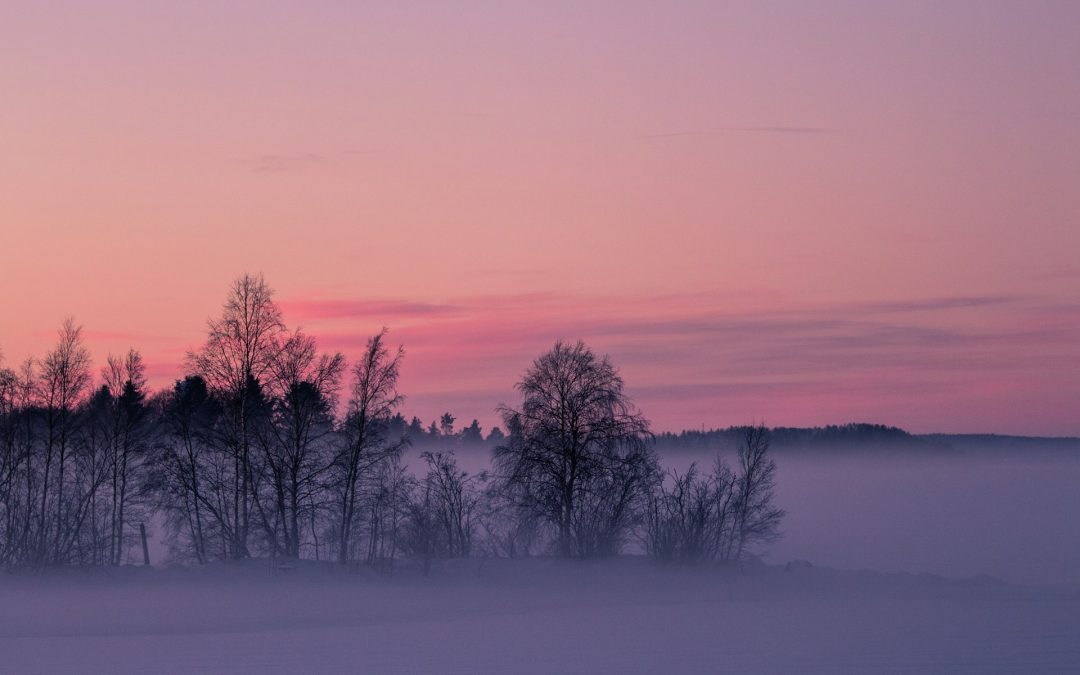 Norrländska ord och uttryck – omfattande lista