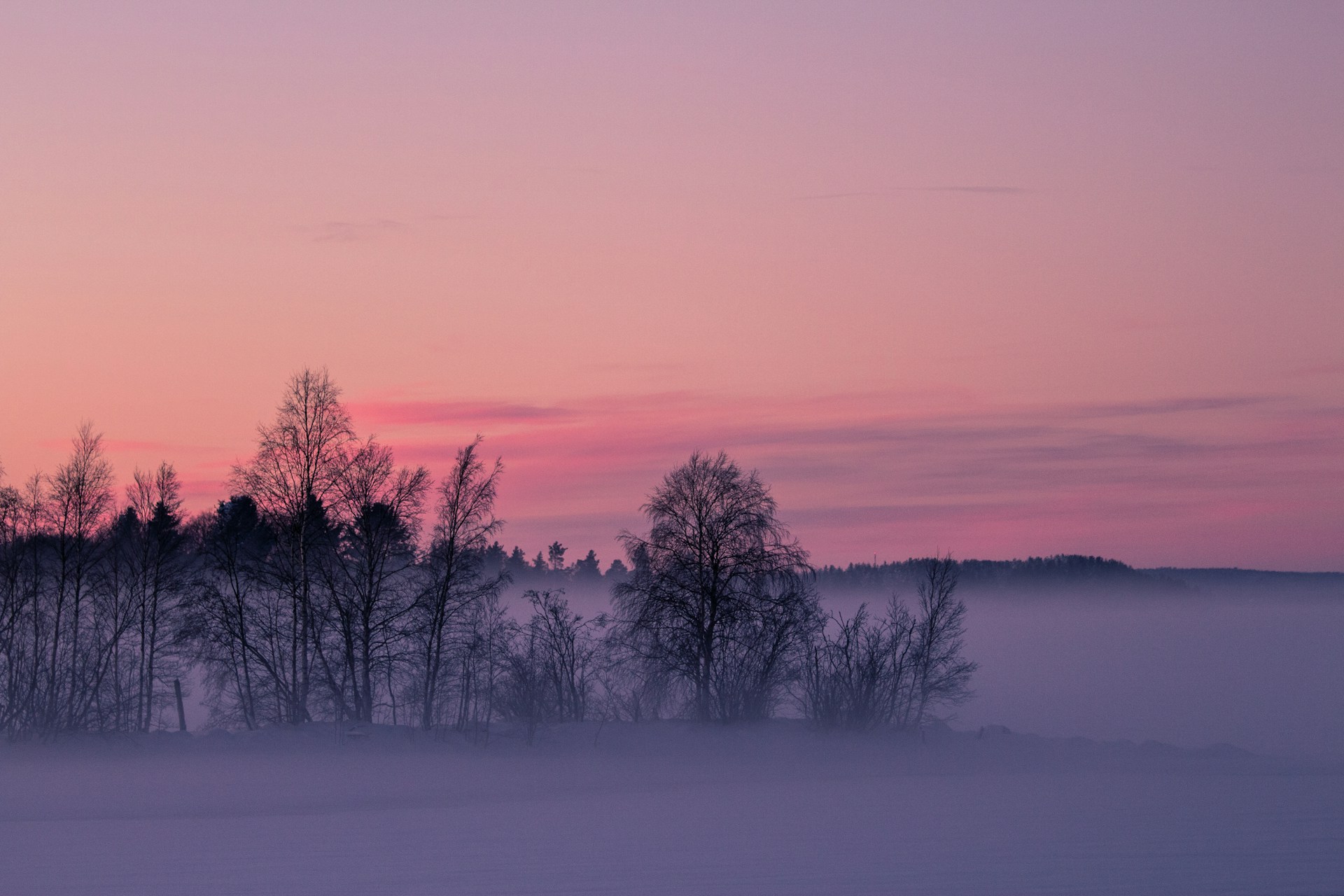 Norrländska ord